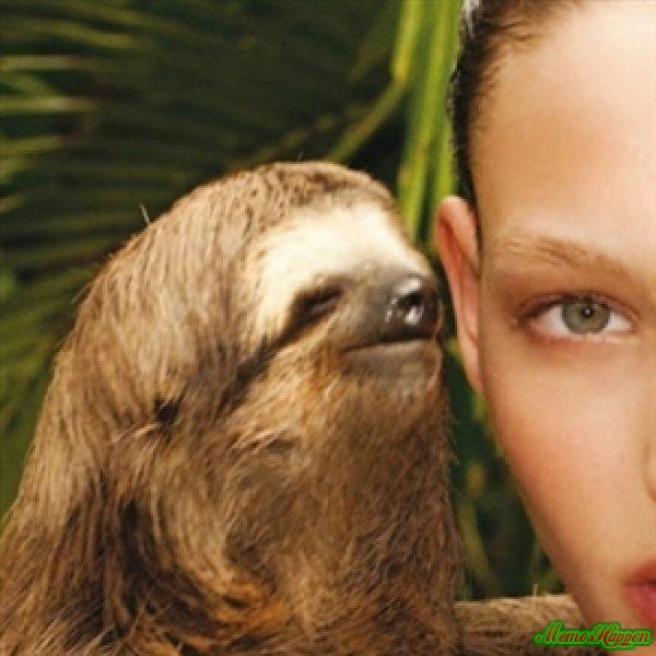 Whispering Sloth