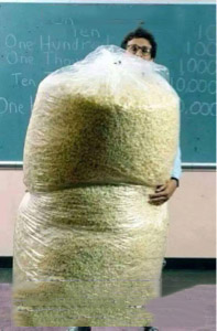 Big Bag of Popcorn Teacher Guy