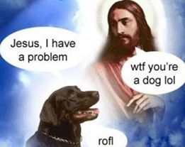 Dog Asking Jesus For Forgiveness