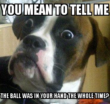 BOXER DOG with the caption YOU MEAN TO TELL ME THE BALL WAS IN YOUR HAND THE WHOLE TIME?