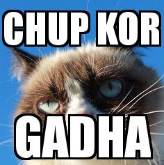 Angry Cat with the caption Chup Kor Gadha