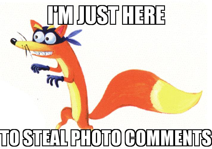 Dora Fox Thief Swiper with the caption I'm just here To Steal photo comments