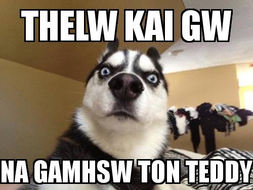 What the dog with the caption THELW KAI GW NA GAMHSW TON TEDDY